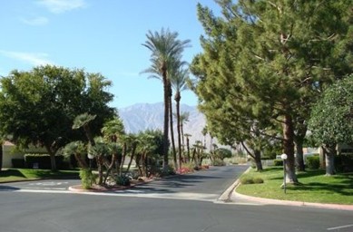 Palm Springs for dog walking